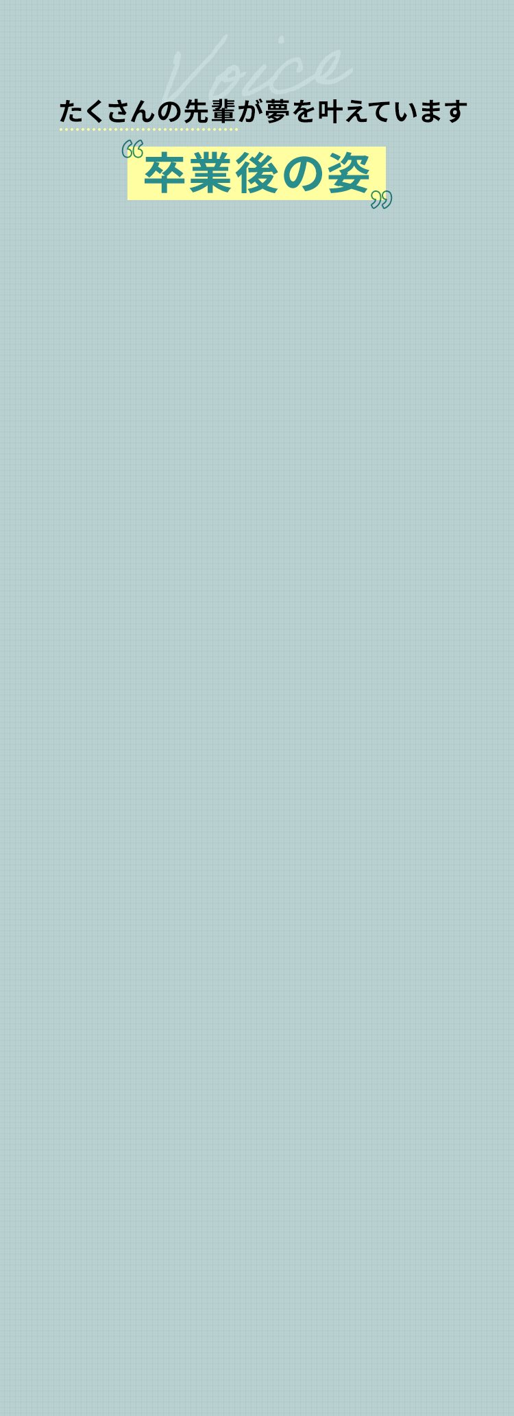 たくさんの先輩が夢を叶えています 卒業後の姿